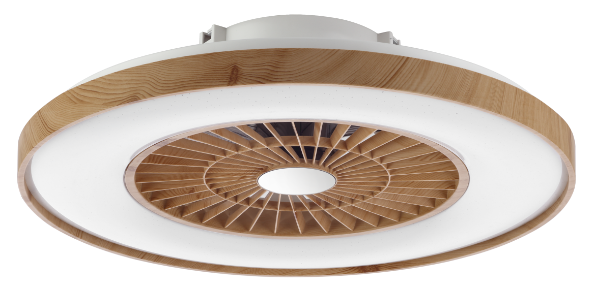 Ceiling Fan with Light