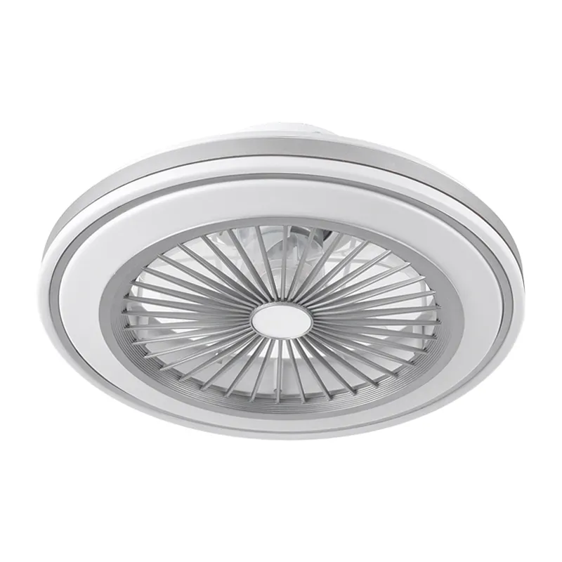 Ceiling Fan with Light