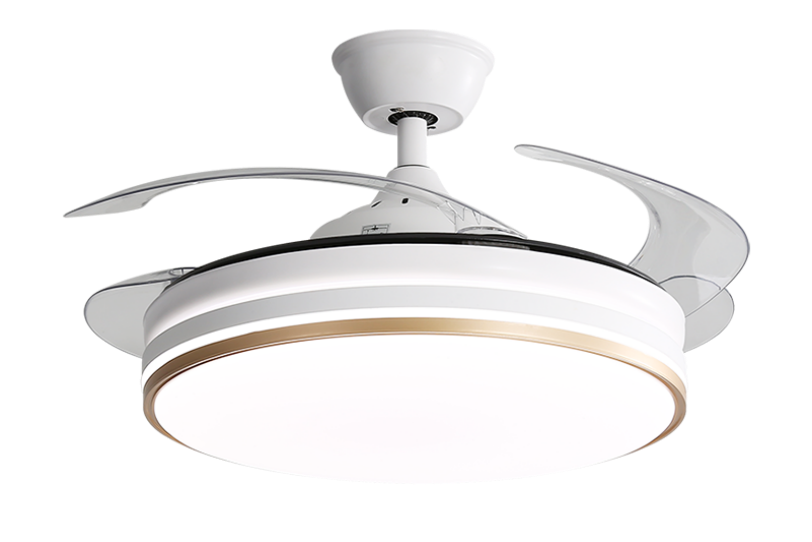 Ceiling Fan with Light