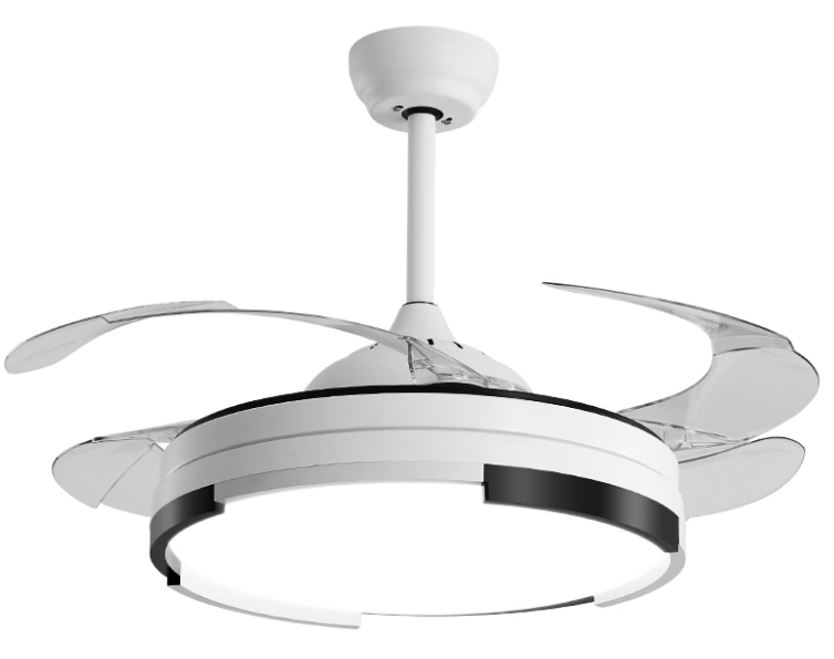 Ceiling Fan with Light
