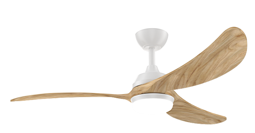 Ceiling Fan with Light