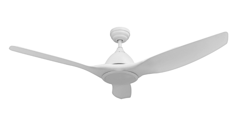 Ceiling Fan with Light