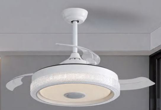 Ceiling Fan with Light