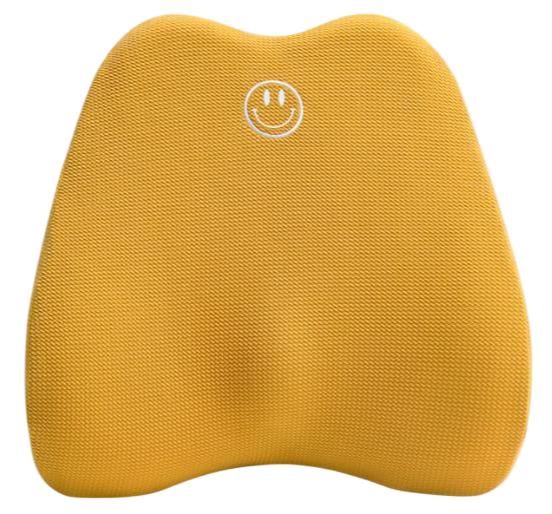 Lumbar Cushion
